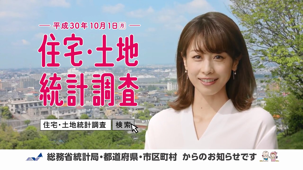 平成30年住宅・土地統計調査 加藤綾子