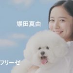 ほけんのパブレ CM 堀田真由