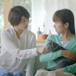 フロントライン プラス 家ネコ篇 安藤裕美 真下玲奈