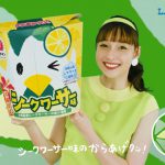 からあげクン 沖縄シークワーサー味 LILI