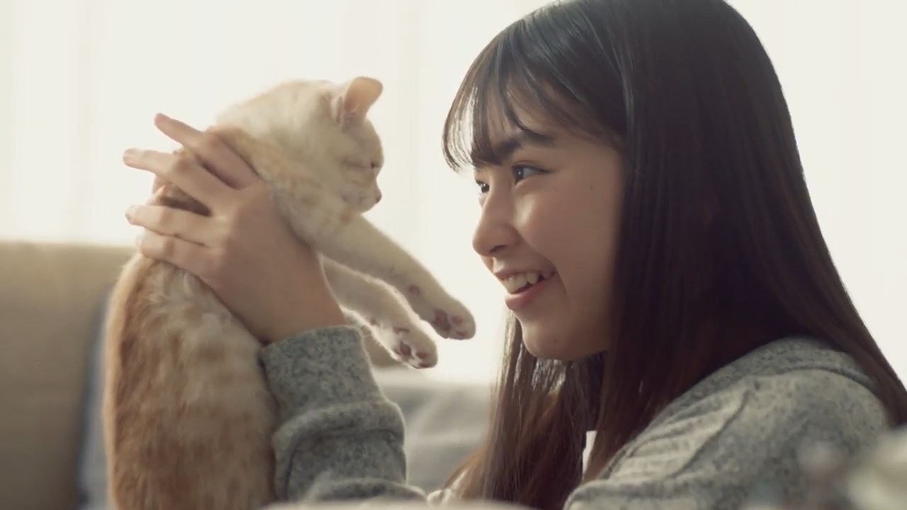 STNet 吉澤悠華 CM【夢見るライフライン(子猫の気持ち)】篇