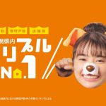 リビングギャラリー CM 豊島心桜