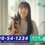 SBIいきいき少短 ペット保険 奈緒 CM