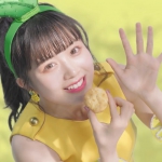 春華堂 大地のパイ Kirari