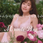 田中みな実 PEACH JOHN ミラクルブラ
