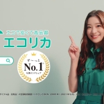 足立梨花 エコリカ TVCM エコな梨花はエコリカ