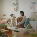 小貫莉奈 ソフトバンク CM 5GLAB 「なにわ男子で、超接近。」篇